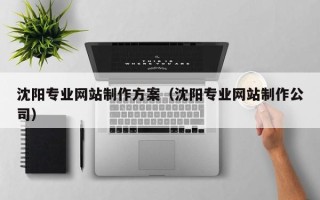 项城沈阳专业网站制作方案（沈阳专业网站制作公司）